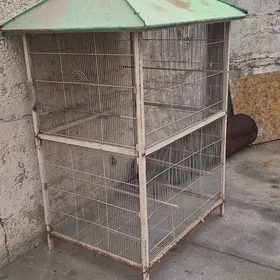 gus kiletga setga ketek