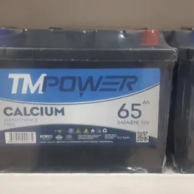 TMPOWER 65AH