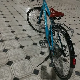 Tigir welik‍♂️