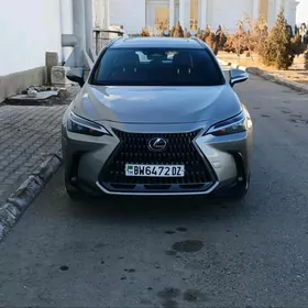 Lexus NX 2023