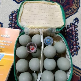 Магнитный присоски