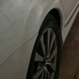 disga limited 2 17lik