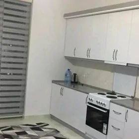 ARENDA JAY GURTLY 2KOM