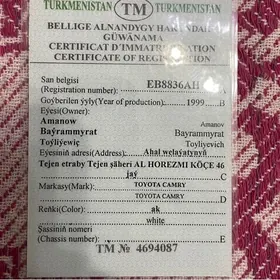 Wreminni  Teh Pasport