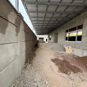 Satlyk Yalkym 8_Sotuk