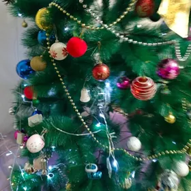 kwartirant oglan talyp gerek