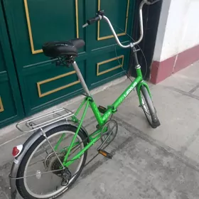 kama yaponka arginal 7 skors