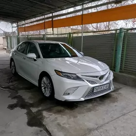 Toyota Camry 2019