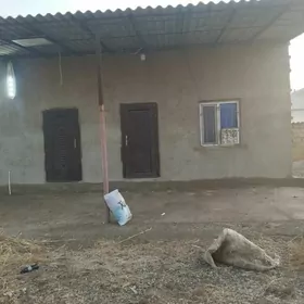 caryyew sahCaryyew Sahetmy