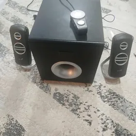 satlyk kalonka bocka