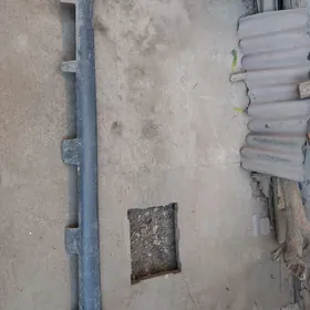 каролла парог 2010 г