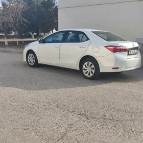 Toyota Corolla 2016