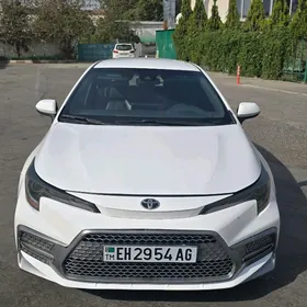Toyota Corolla 2019