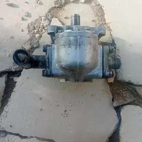 Enşalar durli görnşde