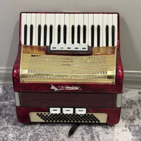 Akkordion