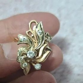 gyzyl gadym gulakhalka