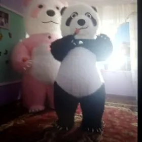 Mişka panda