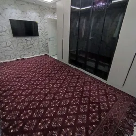 haly ковер халы