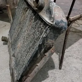 Altmysdokuzyn radyatry