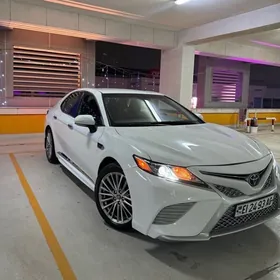 Toyota Camry 2020