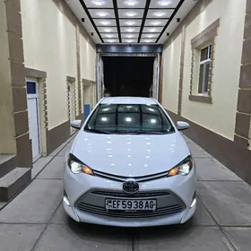 Toyota Corolla 2019
