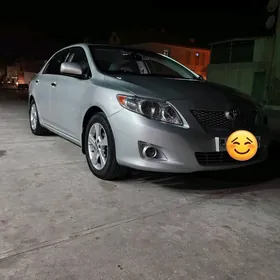 Toyota Corolla 2010