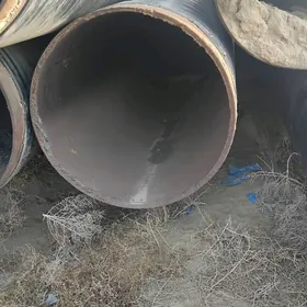 turba 1200 lik 1000 lik