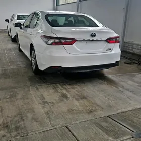 Toyota Camry 2021