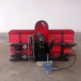 Bugday oryan kasilka