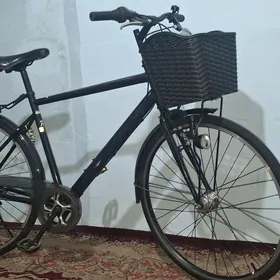 tigir ÿaposka 28 lik