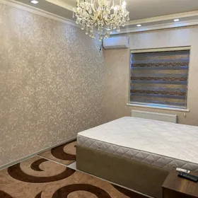 mir1 şa ÿoly koçe