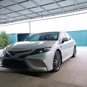 Toyota Camry 2021