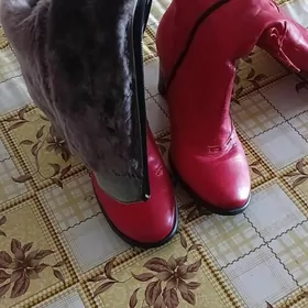 сапоги женские кожан