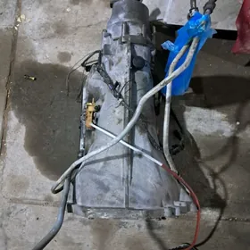 mercedes wakum karopka 5 skors