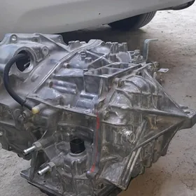 okuz cam korobka tazeje 2.5 mo