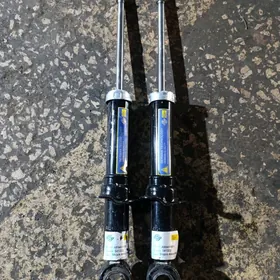 amartizator karolla yzy haliji