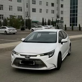 Toyota Corolla 2021
