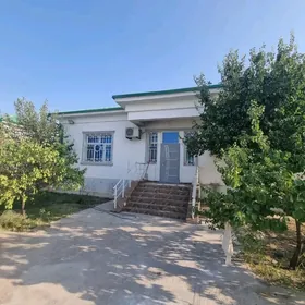 Taze zaman ️ тазе заман