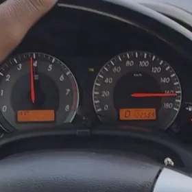 haliji pribor carolla