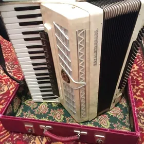 ROYALE SATDART (MONTANA)