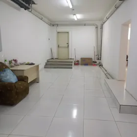 GURTLY PADYBAL HAÝRAT GÖNISI