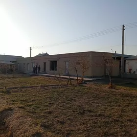 Satlyk perennde yer ba