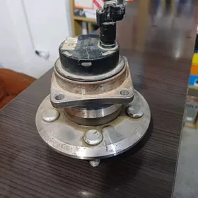 morda karola 2005 ustuptsa yzy