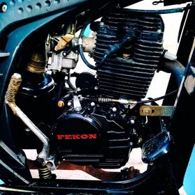 Fekon FK200-14G 2024