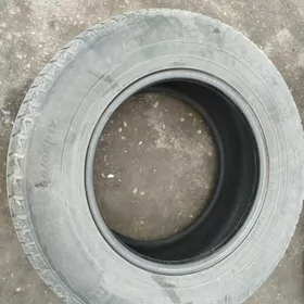 teker pakliska mugut berjek