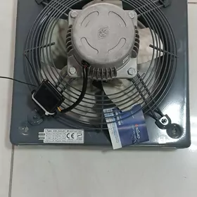 Howalandyrma Damandeh witiçka