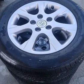 kemri Dysga pakryşga 16