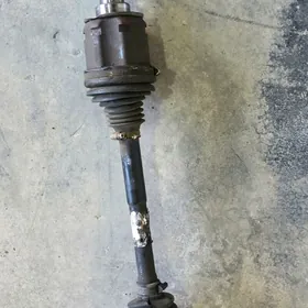 Granat 2019 sienna cep tarap