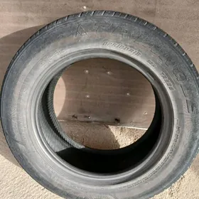 трангель тигир 225 60 16