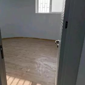 arenda gurtly pol padwal